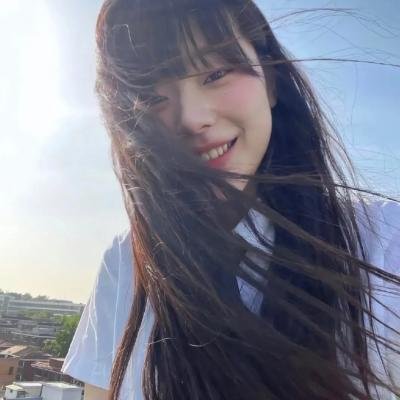 101朵玫瑰